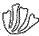 Ettje flourish